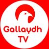 Galaydh TV