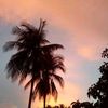 isabellacorrea828