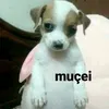 viniszzxr