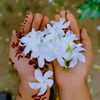 muneer8498