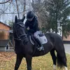a.j._equestrian