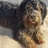 www.tictok.com.yodalein