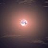 artificial_507