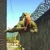johneftarkov