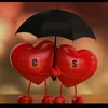 shalawnawzad131996