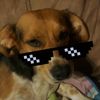 randomttp35