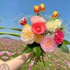 sakib675x