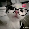 knz0_4