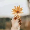 rayaan.ghoufran.48