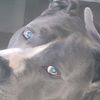 bluey20215