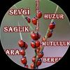 ugur_bocegi37