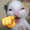 lovuongk12