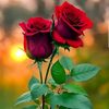 user7819686054357