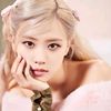 _butterfly__rose_