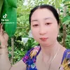 phamnhe19