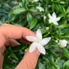 crissy_affiliateshop2