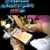 user7439081728172