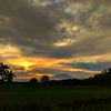 endri_313_