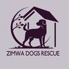 Zimwa Dogs Rescue🐕🐶🦊🐶❤️