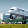 pilotkauwsg