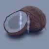 coconut_but_ngot