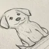coconutdog3