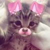 cisiliaa0_