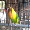 titik6573