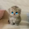 nhathuyctee