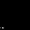 swallowi1