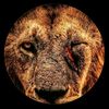 aissabouchareb