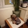 crunchcnlg