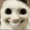 vinhcutenha