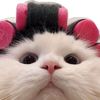 rulll471