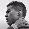 s_cr76237