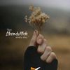 hanit_s_acc