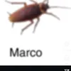 riccardone.nazionale