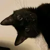 urfavvweird0o