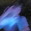fif_teqq
