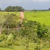 jeanaugusto174