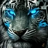 user9688010805672