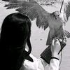 a_a_af23
