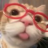 tatianalisseth61