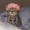 feetewieni