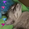 trncngmnh8