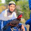 naveedkhan_138