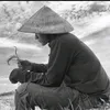 phannguyenanhkhoi5