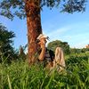 hirovan6