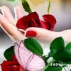 milulilu3