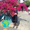 user2452482610773